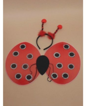 Ladybird Dress Up Set