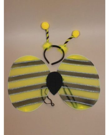 Bumble Bee Dress Up Set