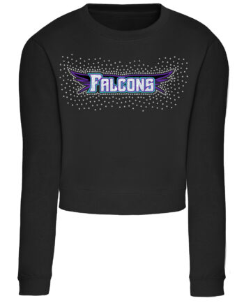 Swansea Falcons Cropped Sweatshirt