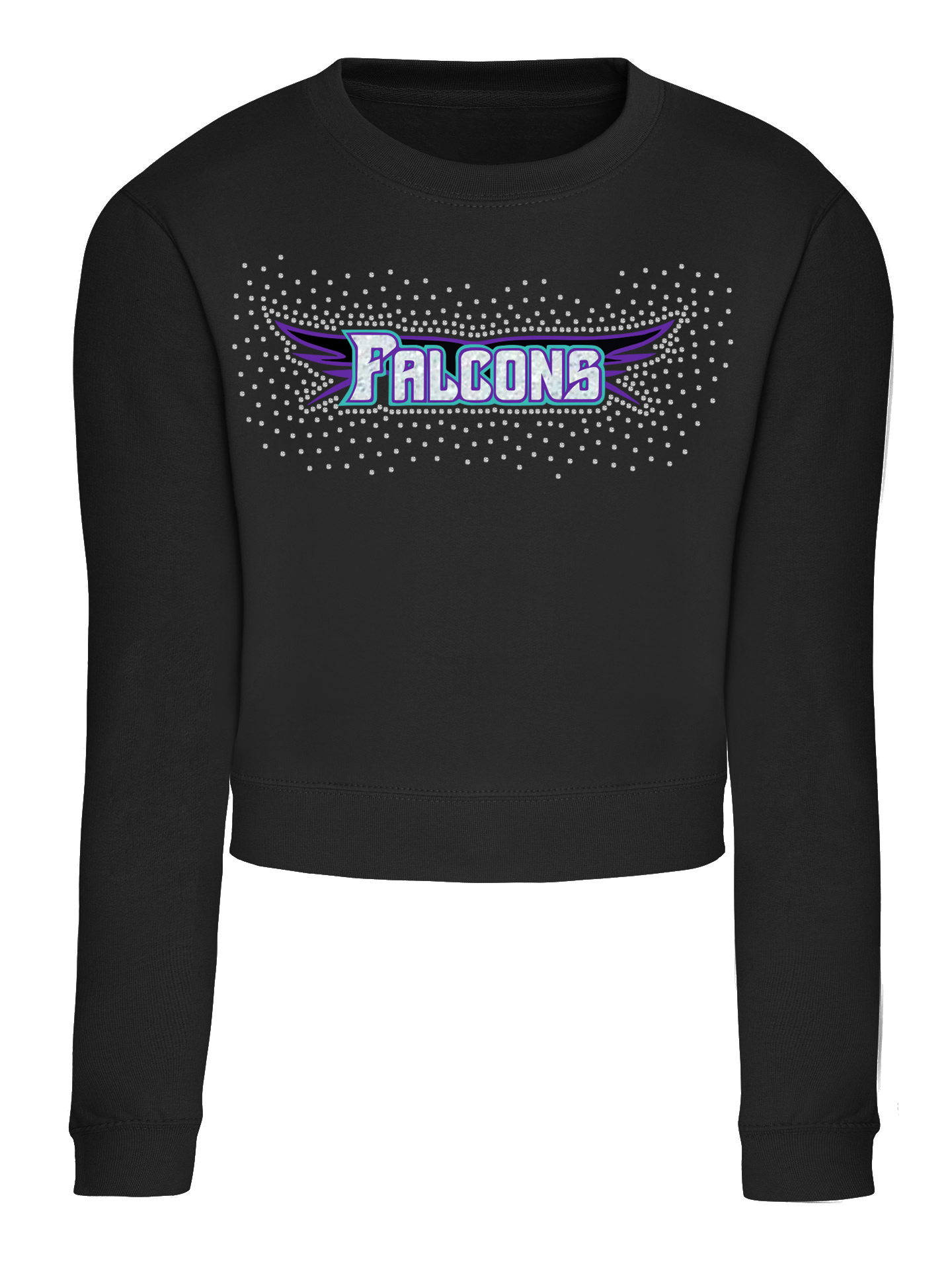 Swansea Falcons Cropped Sweatshirt