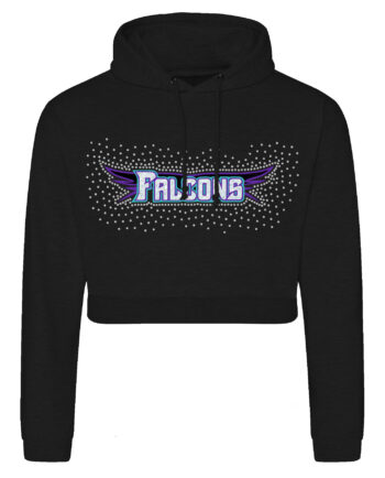Swansea Falcons Cropped Hoodie