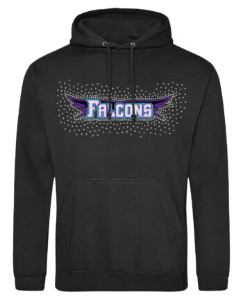 Swansea Falcons Pullover Hoodie