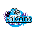 Swansea Falcons logo