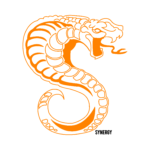 Synergy logo