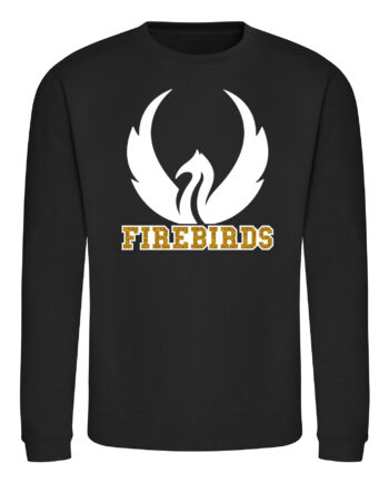 Firebirds Cheerleading Print Sweatshirt