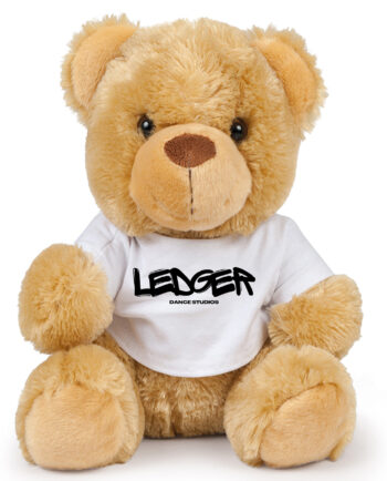 Ledger Dance Studios Teddy Bear
