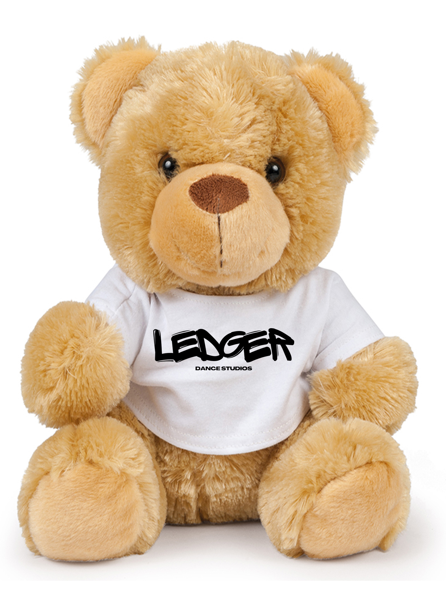 Ledger Dance Studios Teddy Bear
