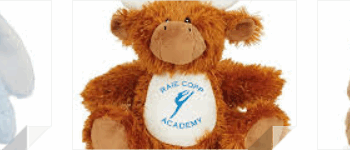 Raie Copp Teddy