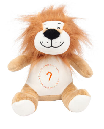 Derbyshire Academy of Performing Arts Lion Teddy