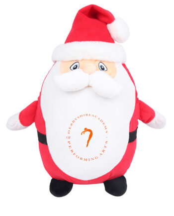 Derbyshire Academy of Performing Arts Santa Teddy